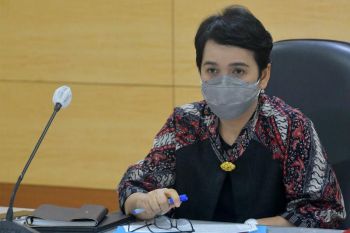 Working group, engagement group should collaborate in DEWG G20