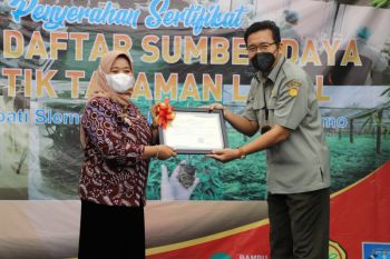 Bupati Sleman menerima sertifikat tanda daftar sejumlah tanaman lokal