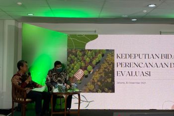 BRGM targetkan restorasi lahan gambut seluas 360.000 hektare pada 2022