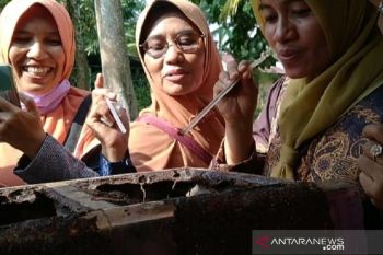 Menikmati madu kelulut di Kuok bersama Ipemi Kampar