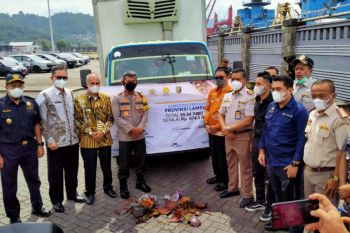 Penghujung tahun, Karantina Pertanian Lampung lepas ekspor komoditas pertanian senilai Rp674,4 miliar