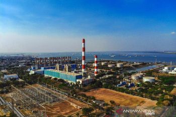 Reveal names of companies violating DMO regulation: legislator