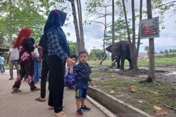 Masyarakat padati Kebun Binatang Kasang Kulim di libur tahun baru