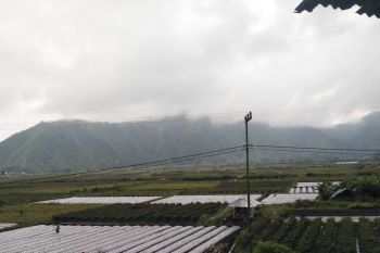Obyek wisata Sembalun tetap ramai  walau diguyur hujan