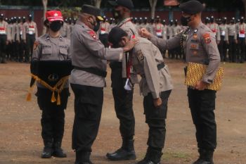Kapolda Papua: Bintara Polri tak lakukan kekerasan saat bertugas