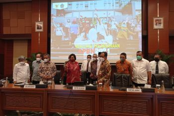 Menkeu: Pemanfaatan insentif pajak di 2021  capai Rp68,32 triliun