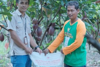 Pupuk Kaltim : Realisasi penyaluran pupuk subsidi di Sulawesi capai 87 persen pada 2021