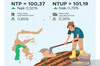 NTP Sulsel naik 0,50 persen pada Desember 2021