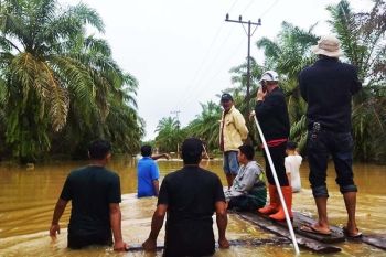 BPBD: 9.459 warga Aceh Tamiang mengungsi  akibat banjir