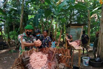 Satgas TNI Yonif 123 bantu warga mengolah sagu di perbatasan RI-PNG