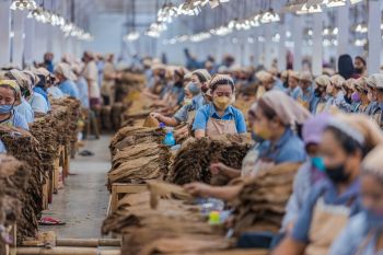 PTPN X targetkan giling tebu 4,25 juta ton pada 2022