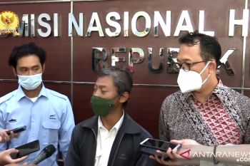Komnas HAM terima aduan PHK pegawai BRIN