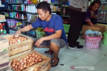 Harga telur dan ayam di Solo kembali stabil