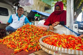 Harga bahan pangan di Palangka Raya bergerak turun