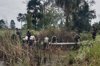 Satgas TNI Yonif 123 bangun jembatan kayu warga Kondo perbatasan RI-PNG