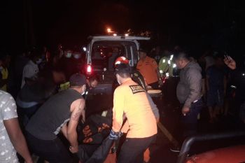 Seorang pengendara tewas tertimpa pohon tumbang