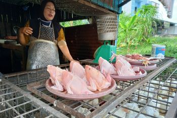 Harga ayam di Pekanbaru masih Rp32.000 sejak Natal