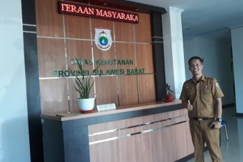 Dishut Sulawesi Barat perluas tutupan lahan melalui gerakan menanam pohon