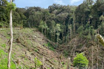 Kemenhut siapkan generasi muda pelestari hutan di Sulsel
