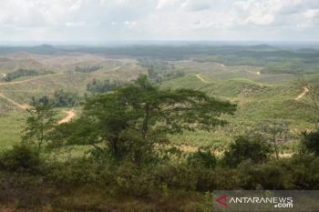 Nusantara and its changing meanings