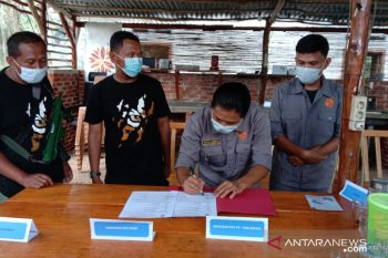 PRHSD Arsari observasi harimau sumatera dievakuasi dari Agam