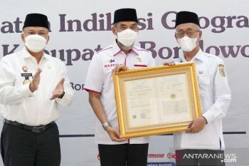 Kemenkumham beri sertifikat Indikasi Geografis Kopi Arabika Bondowoso, sebagai bagian kekayaan intelektual