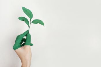 Belajar hidup berkelanjutan di  perhelatan "Litter by Litter"