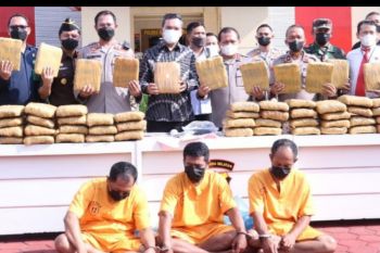 Polres Musi Banyuasin gagalkan pengirimam  ganja 100 kg