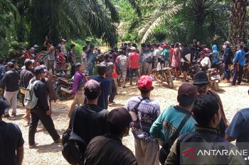 Ratusan warga tutup jalan perusahaan sawit