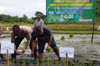Bupati Endi dorong peningkatkan produktivitas pertanian di Manggarai Barat