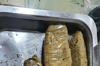 Kalapas Rajabasa duga pengiriman ganja dilakukan saat petugas lengah