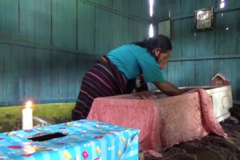 Seorang balita di Sikka meninggal karena terserang DBD