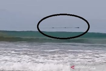 Sebelum gempa muncul hiu paus  dekati bibir Pantai Citepus Sukabumi