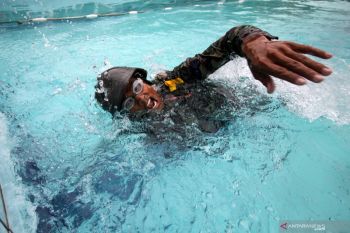 Renang Militer