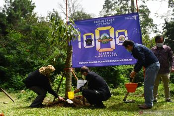 Operasi Pasar Minyak Goreng