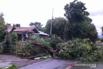 Angin kencang diprakirakan landah wilayah NTT