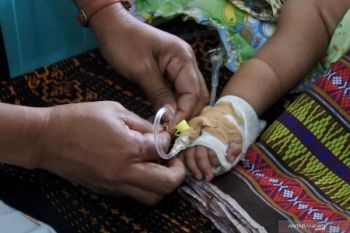 Penderita DBD di Sikka capai 50 kasus