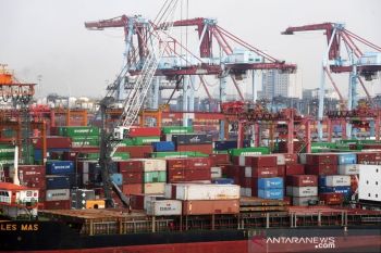 Menko Airlangga: Neraca dagang surplus akan tingkatkan resiliensi eksternal