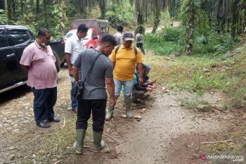 BKSDA Sumbar tangani konflik manusia-harimau pada dua lokasi di Pasbar