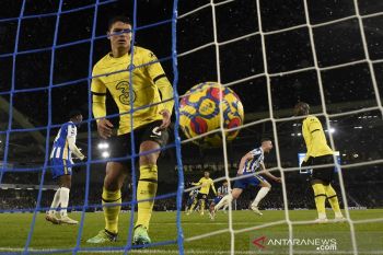 Brighton tahan imbang Chelsea 1-1