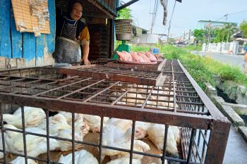 Ini penyebab naiknya harga tiga komoditas bahan pokok di Riau