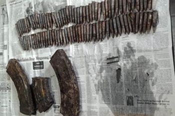 Puluhan peluru dan sejumlah magazen  ditemukan di Kupang
