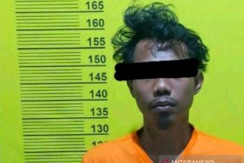 Polisi ringkus komplotan penerima Rp400 juta dari pegawai BRILink di Rohil