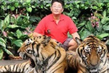 Salah satu sebab Harimau Jawa punah