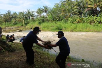 Pemkab Kulon Progo menggelar "Sambanggo" padat karya di Watu Lempeng