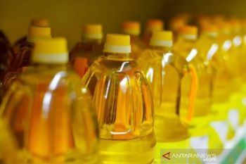 Pemkot Kupang imbau warga tak  ketakutan kehabisan minyak goreng
