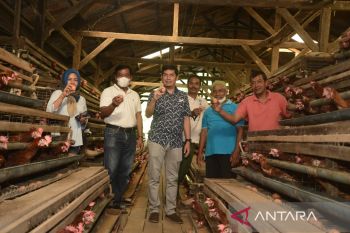 Pemkot Sawahlunto bantu pembudidaya ikan dan ayam