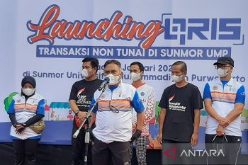 BI Purwokerto optimistis harga minyak goreng turun