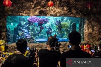 Atraksi Barongsai Seaworld