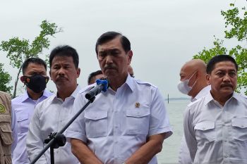 Luhut: Kebijakan moneter AS tak banyak pengaruhi Rupiah